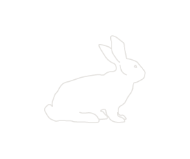bioarte_icono